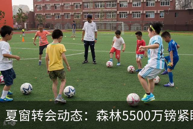 夏窗转会动态：森林5500万镑紧盯赖因德斯，罗马拒绝4队求租瓦斯